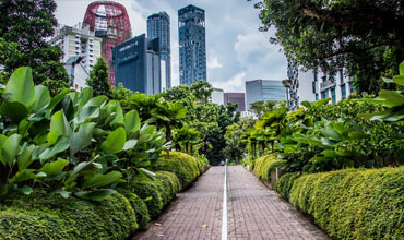 Greening-the-City