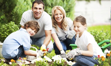 hobby-gardening